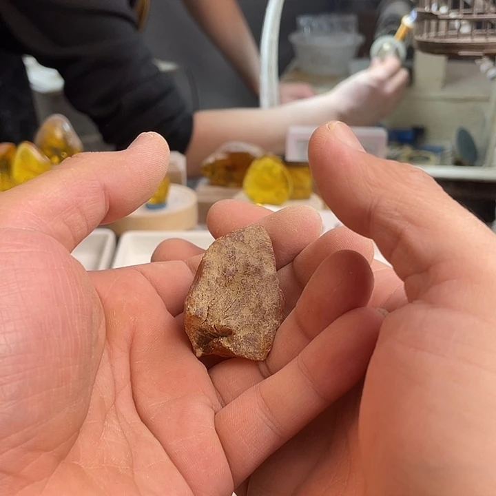 木***可琥珀未镶嵌裸石天然琥珀蜜蜡