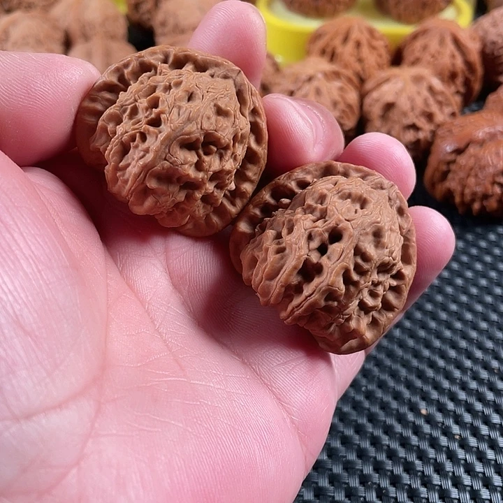 文玩核桃把件白狮子40尺