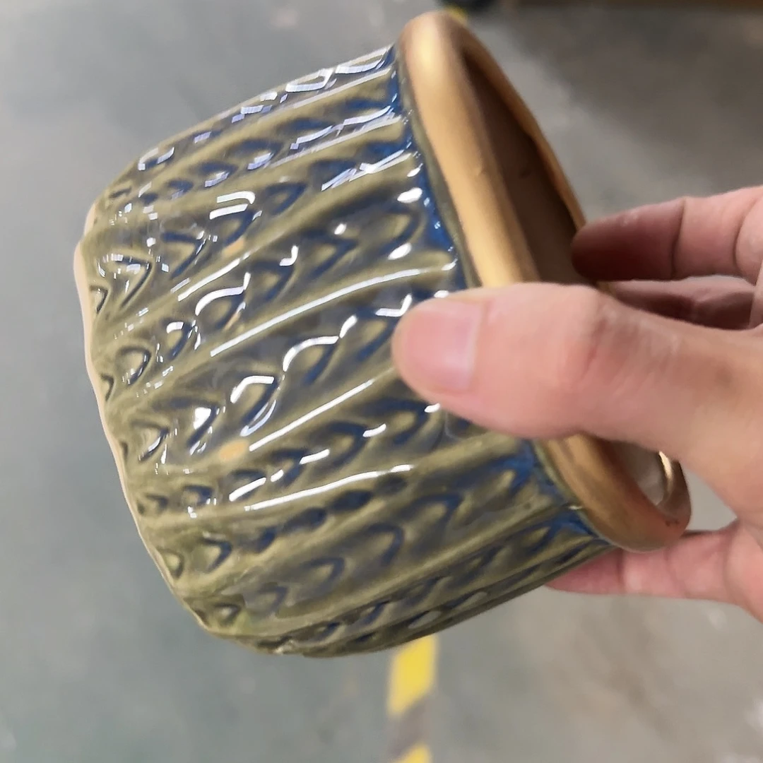 福利局绿植多肉盆［凑9元包邮24小时发］