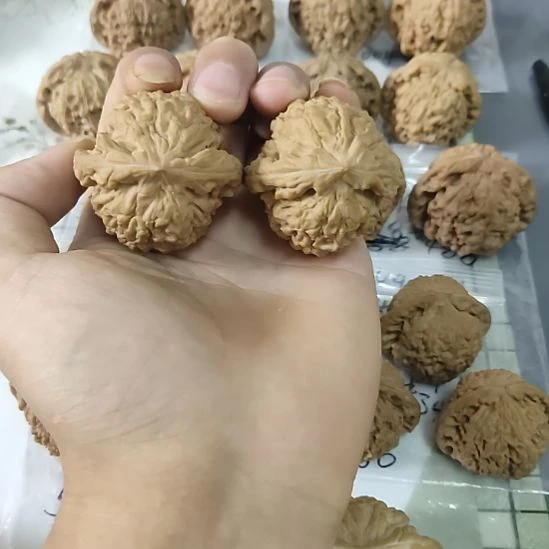 文玩核桃把件文玩核桃把件龙鼎