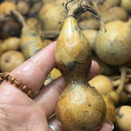 缘葫芦葫芦葫芦葫芦葫芦