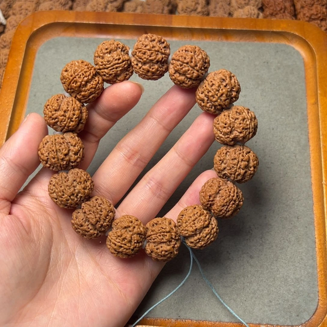 菩提1号金刚菩提古龙梅花21