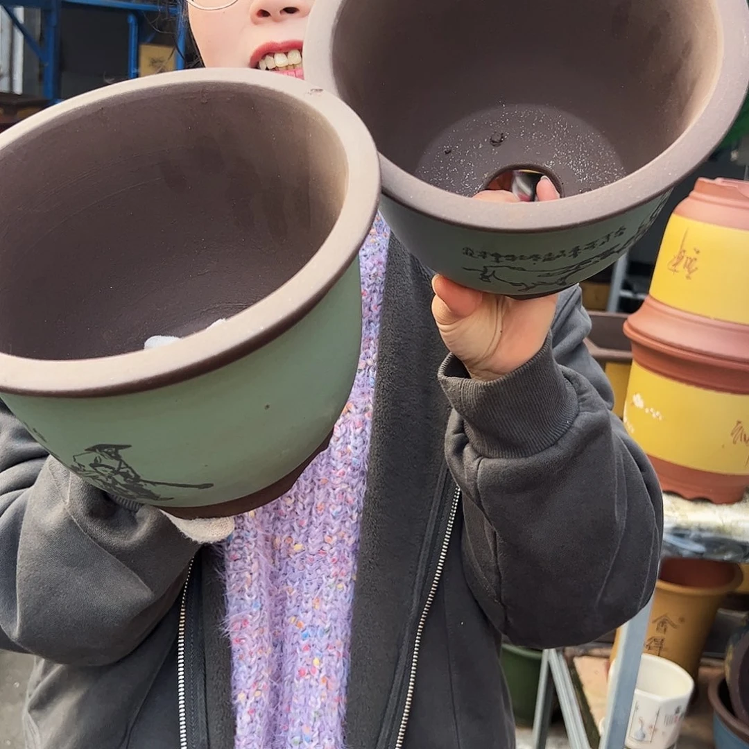 20+20绿放牛娃平角金钟