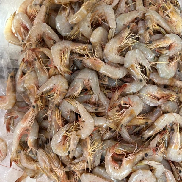 【集胜味海鲜】野生白虾