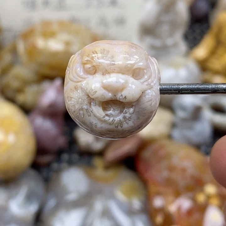 颈饰未镶嵌硅化珊瑚（珊瑚玉）
