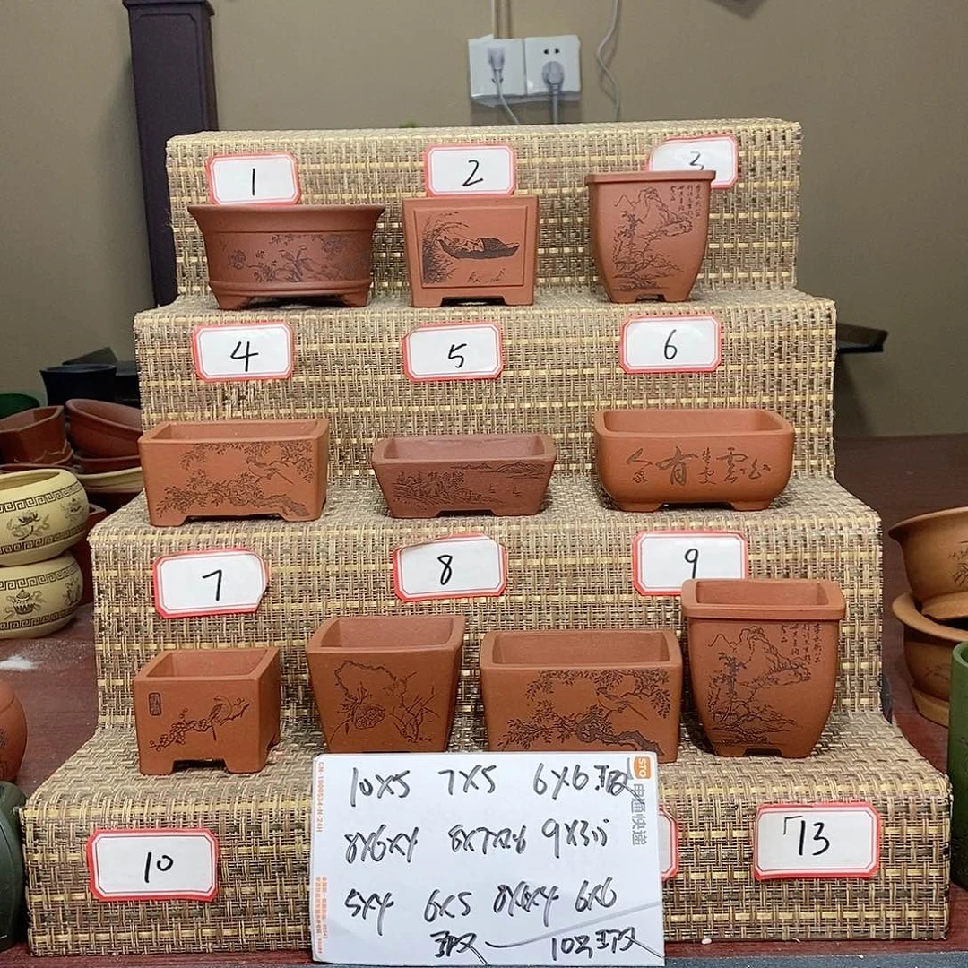 紫砂花盆我在等一哈