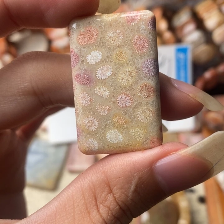 幸***以颈饰未镶嵌硅化珊瑚（珊瑚玉）