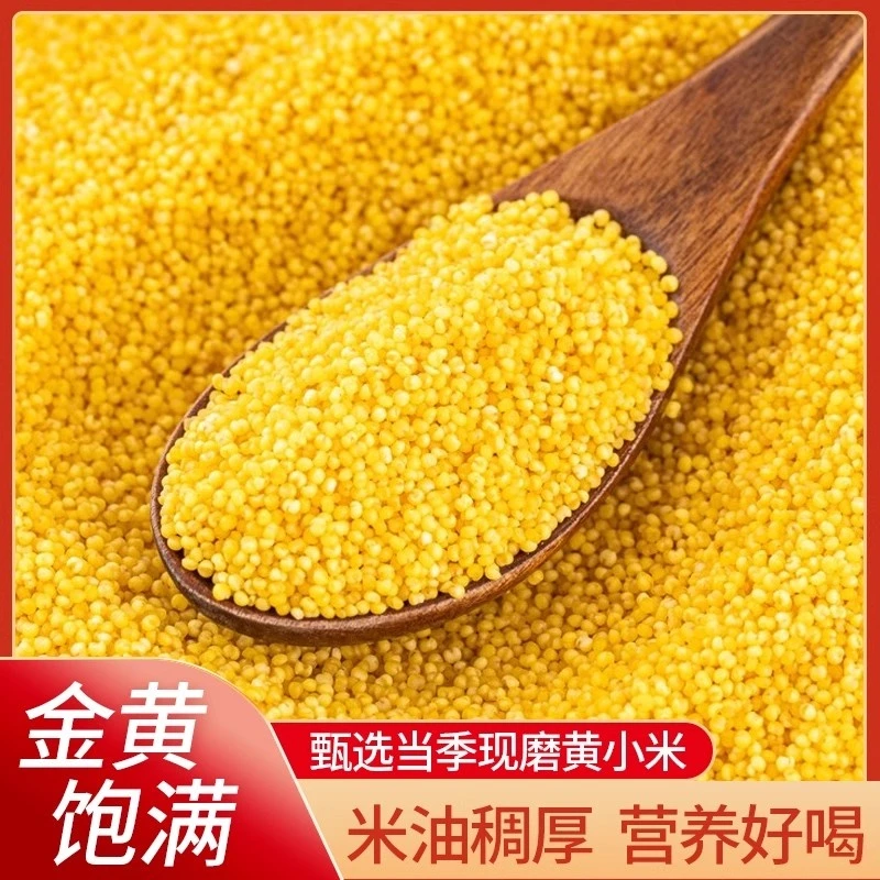 新磨黄小米颗粒饱满色泽金黄熬粥米油浓厚口感软糯