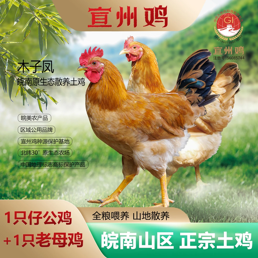 木子凤宣州鸡组合装（ 童子鸡+老母鸡）2只生态散养 新鲜 顺丰快递