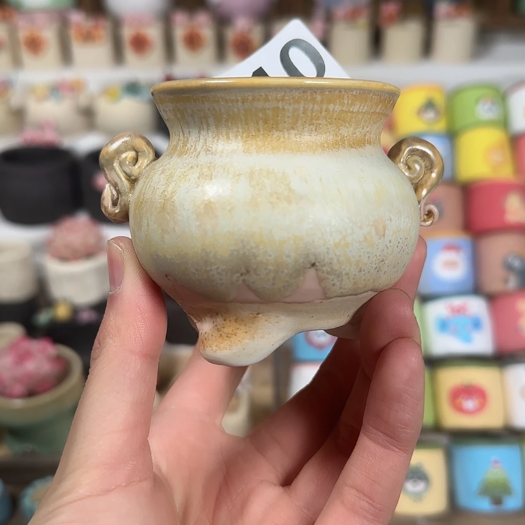 210 口5 福利特惠 花盆