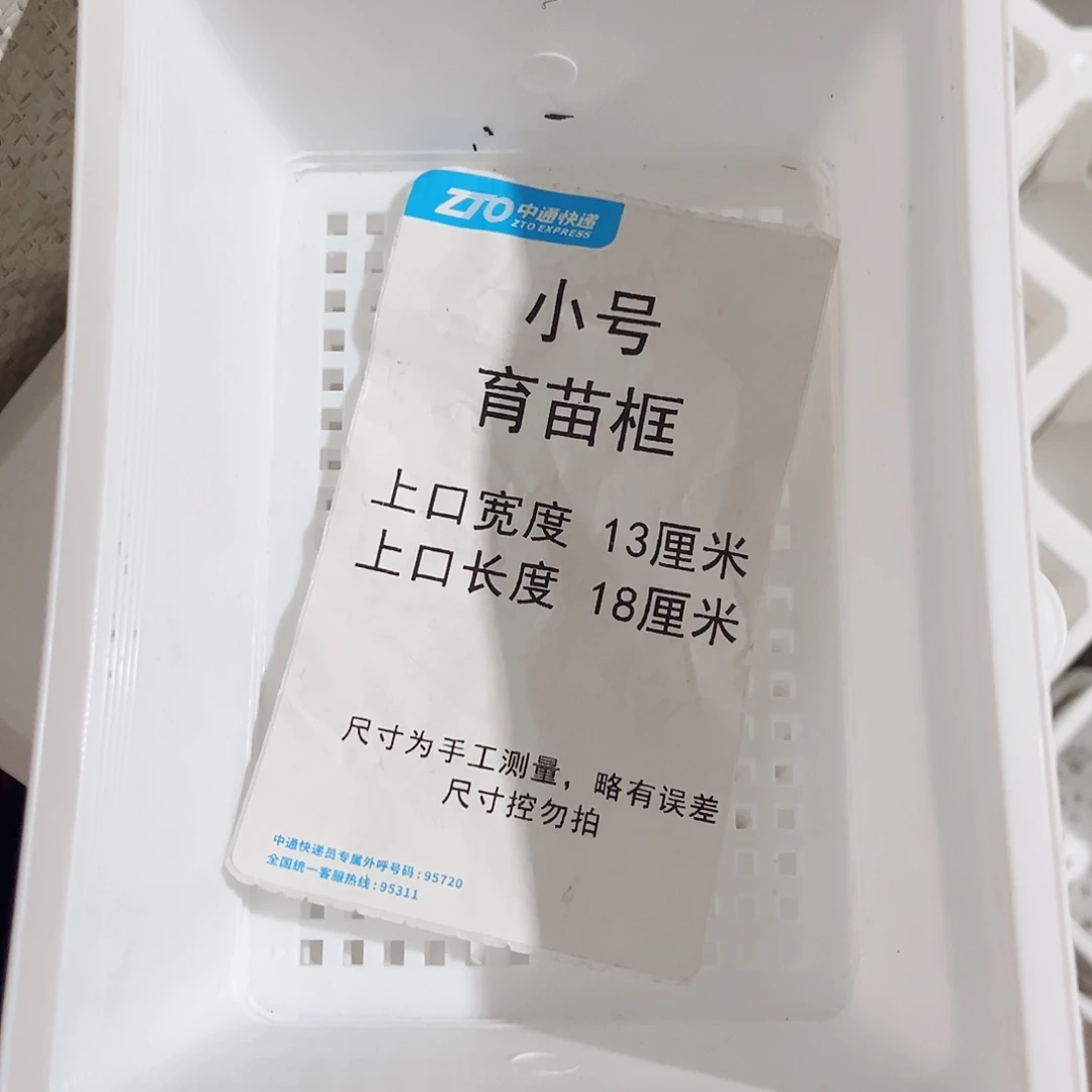 塑料小号育苗框白色10个