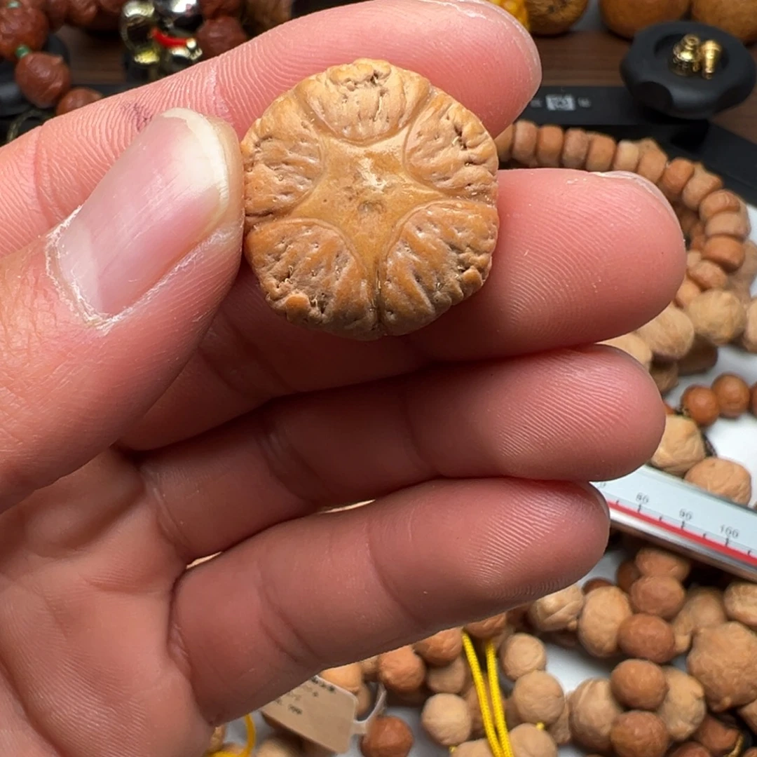 凤眼菩提手串五星