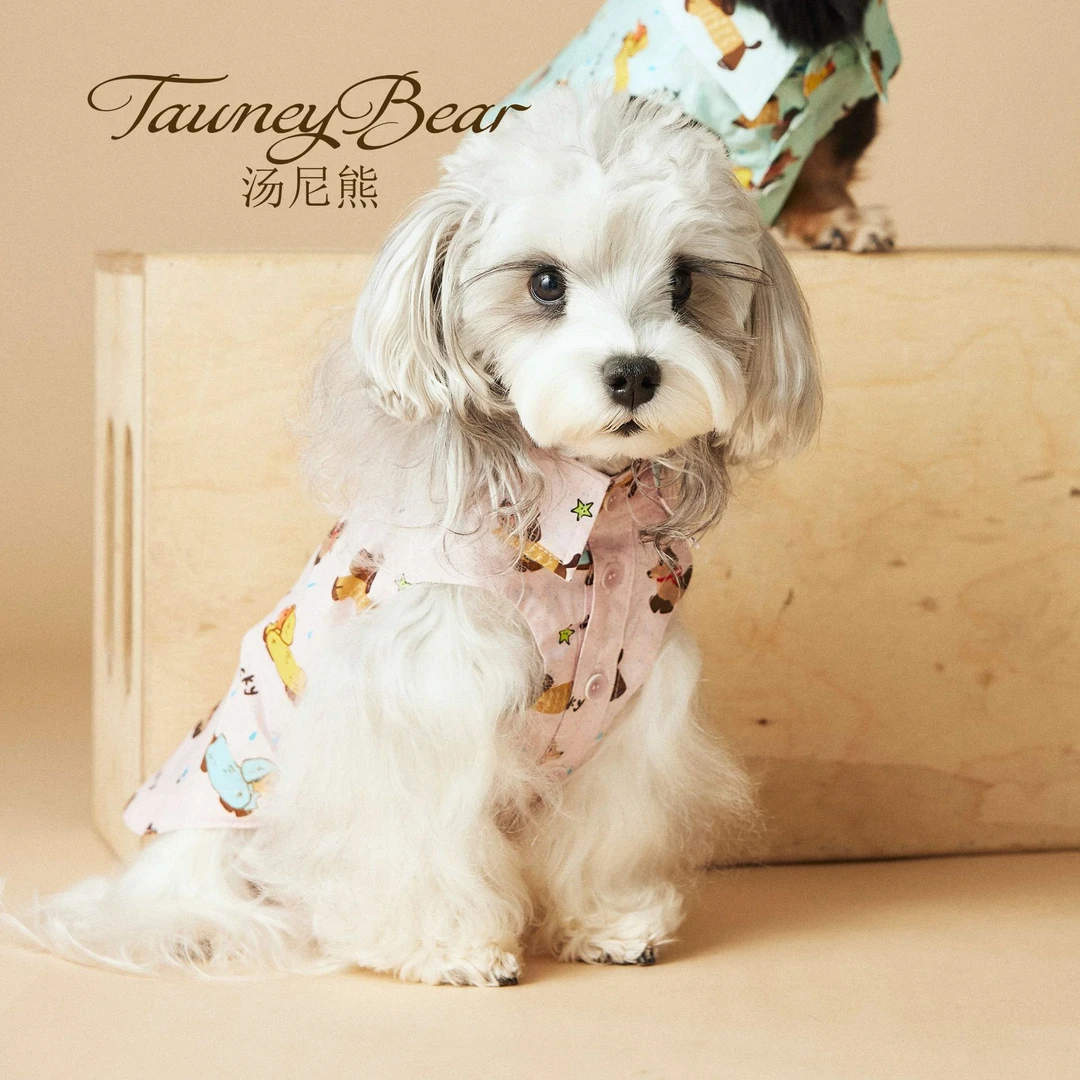 汤尼熊宠物衣服春夏卡通狗狗无袖衬衫可爱泰迪雪纳瑞腊肠比熊背心