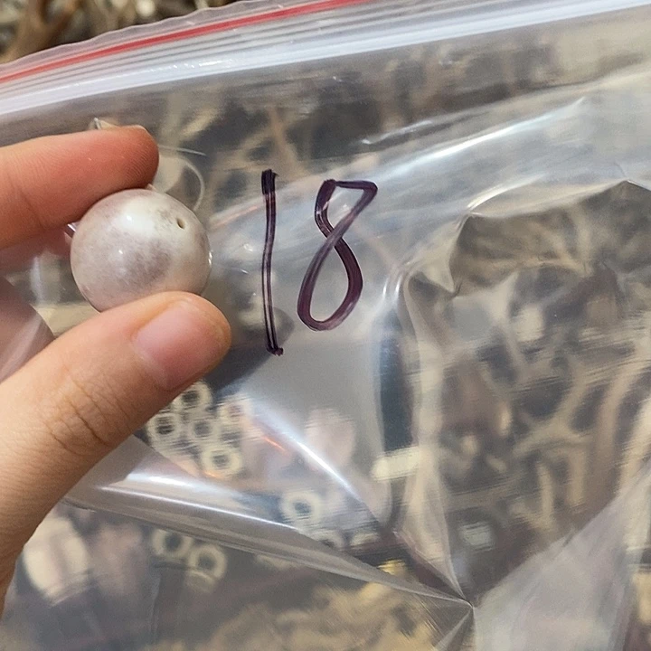不***翁无非金属鹿角鹿角