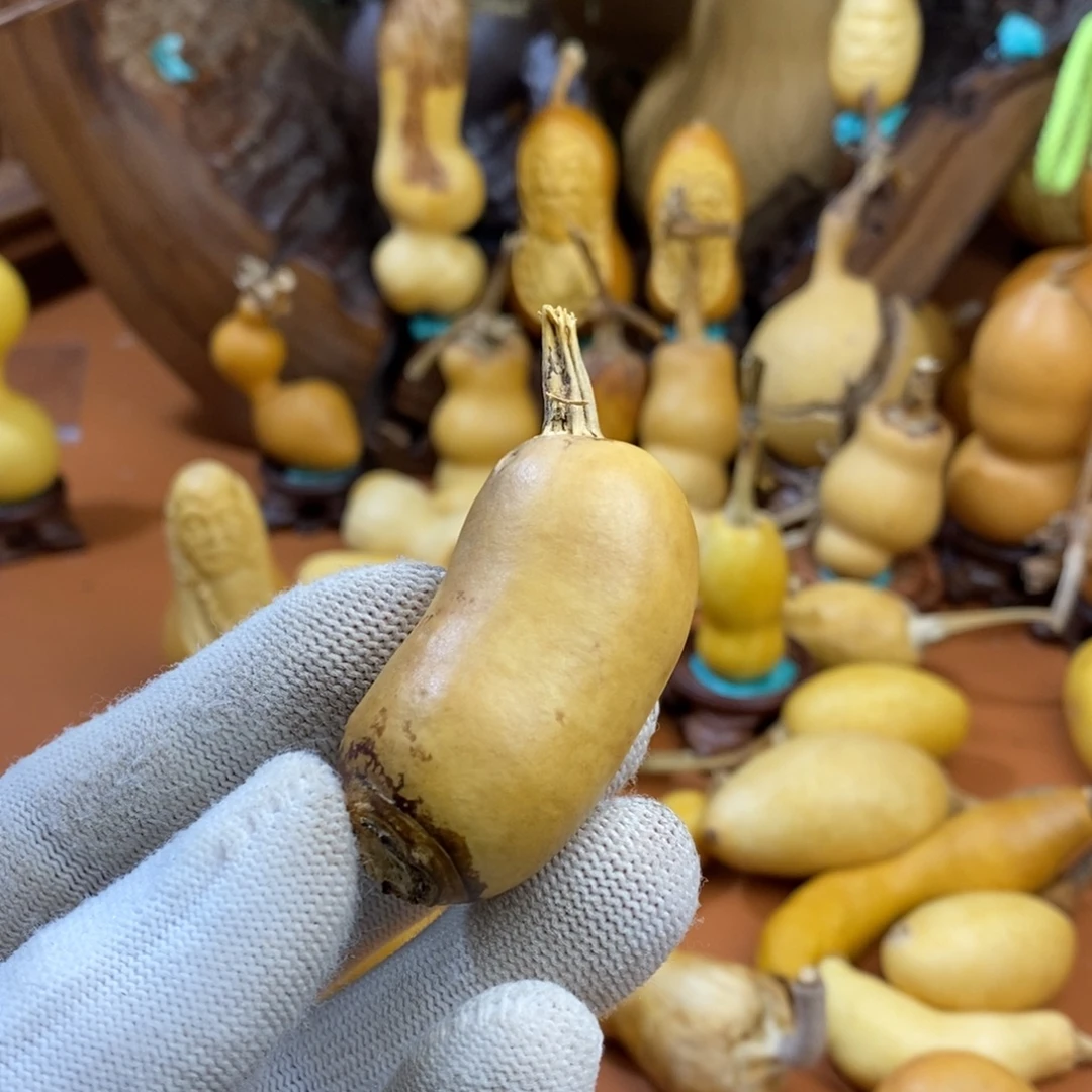 喵***咪距离考虑教练咯教练教练