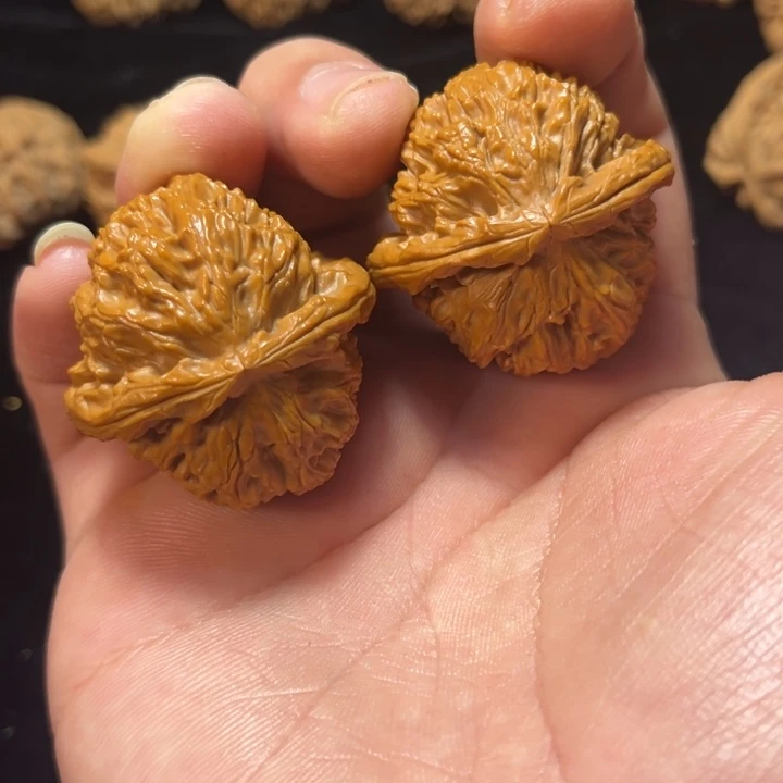 文玩核桃白狮子38