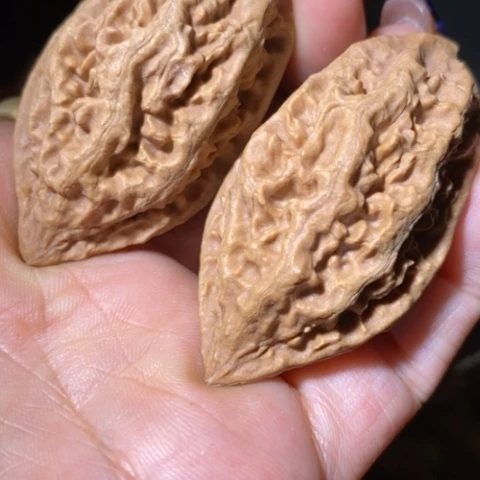 把件文玩核桃东北野生楸子小美91