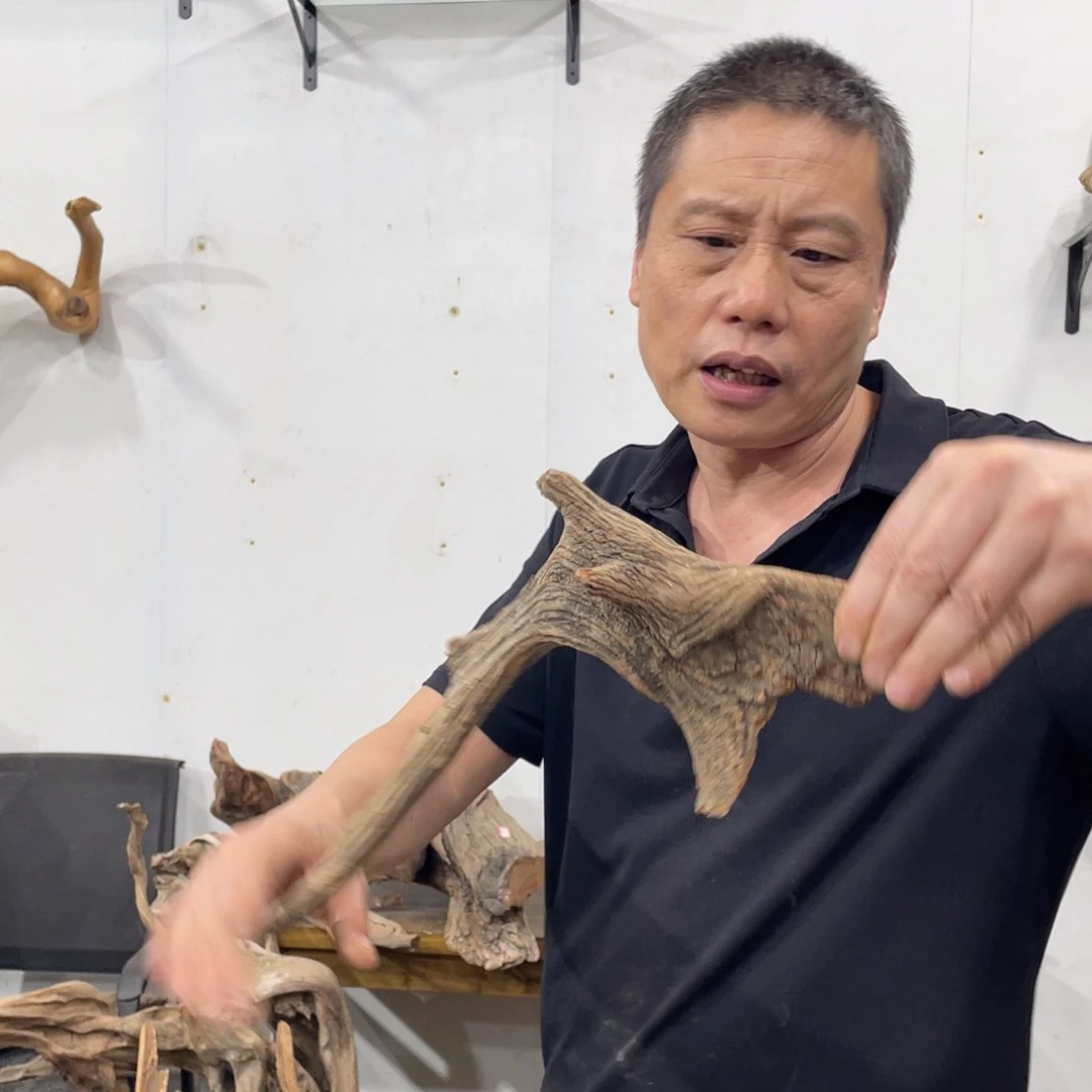 松***质我们都是好孩子啊