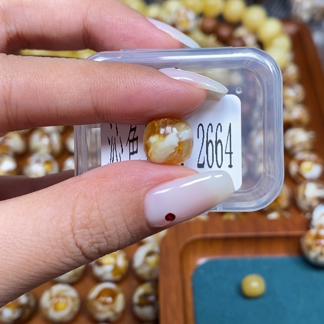 沁色蜜蜡未镶嵌2664