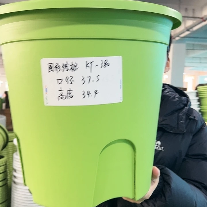 正品圆控口37.5高34果绿无托3只