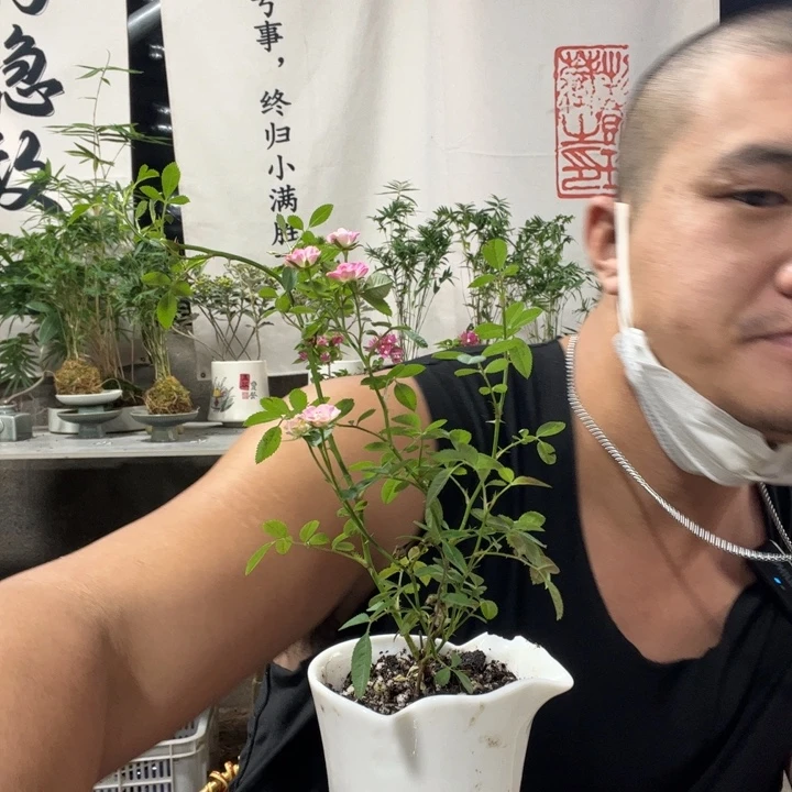 无花朵退款拉黑拉黑52