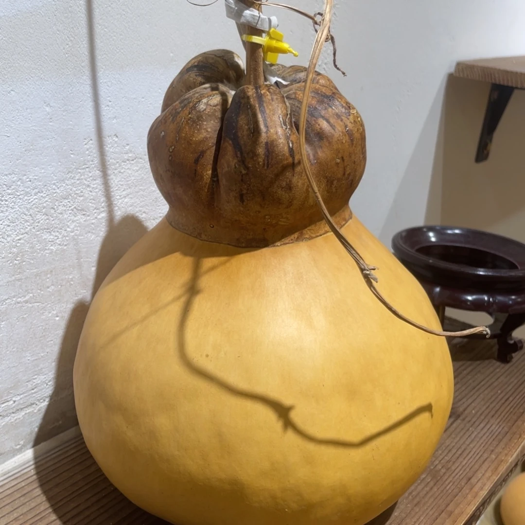 仿木不包邮不保龙头