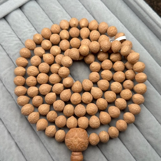 10mm尼泊尔凤眼菩提树108、锦柚一号（实心）