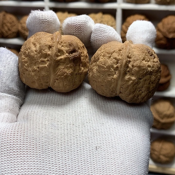 核桃41尺腊肉元宝30号