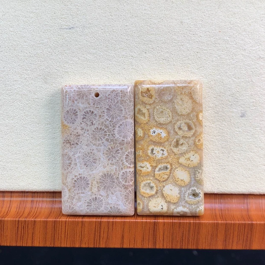 【闪购商品】颈饰未镶嵌硅化珊瑚（珊瑚玉）71号两颗10米