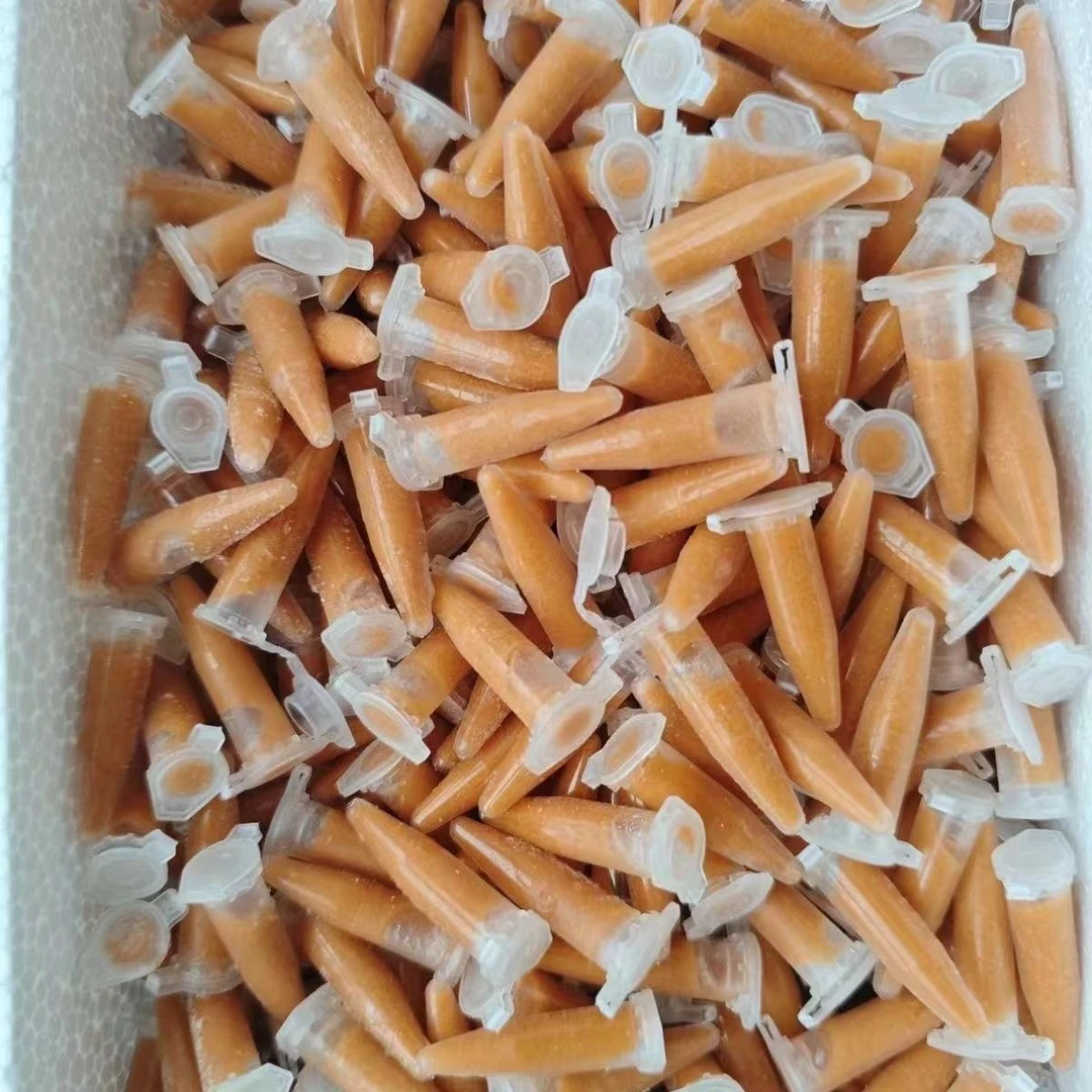 新鲜冰冻丰年虾幼虫鱼食小型鱼孔雀鱼灯科鱼营养开口饲料