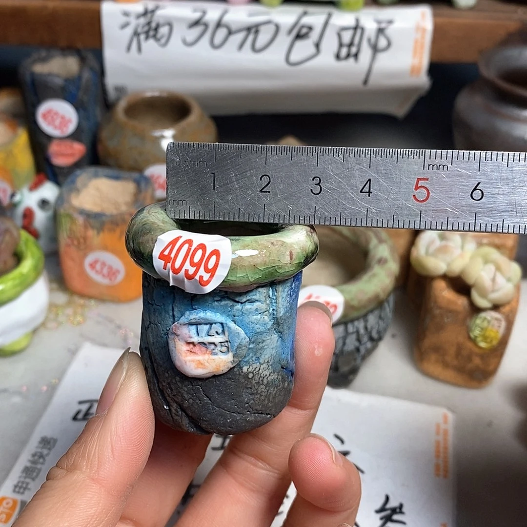 红陶拍5送一个小