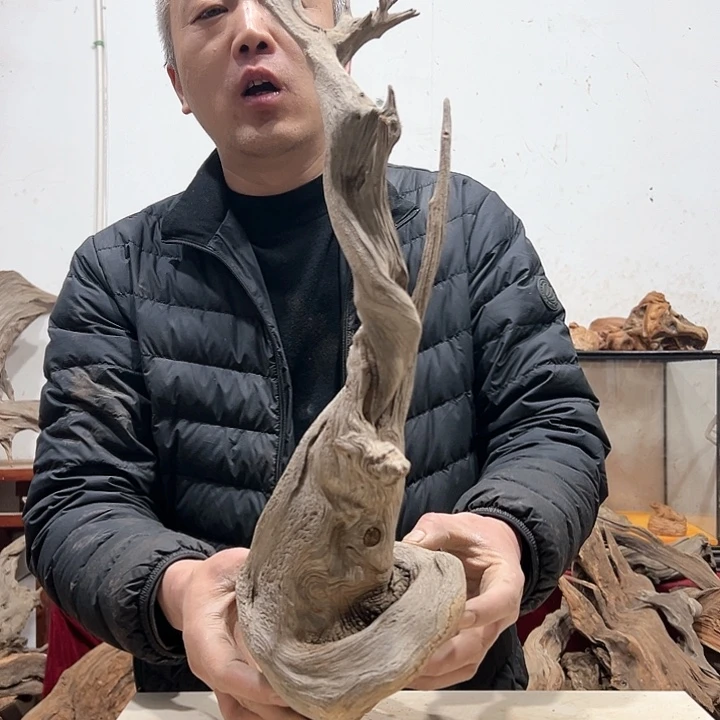 柏木道****5我们的生活也是如此