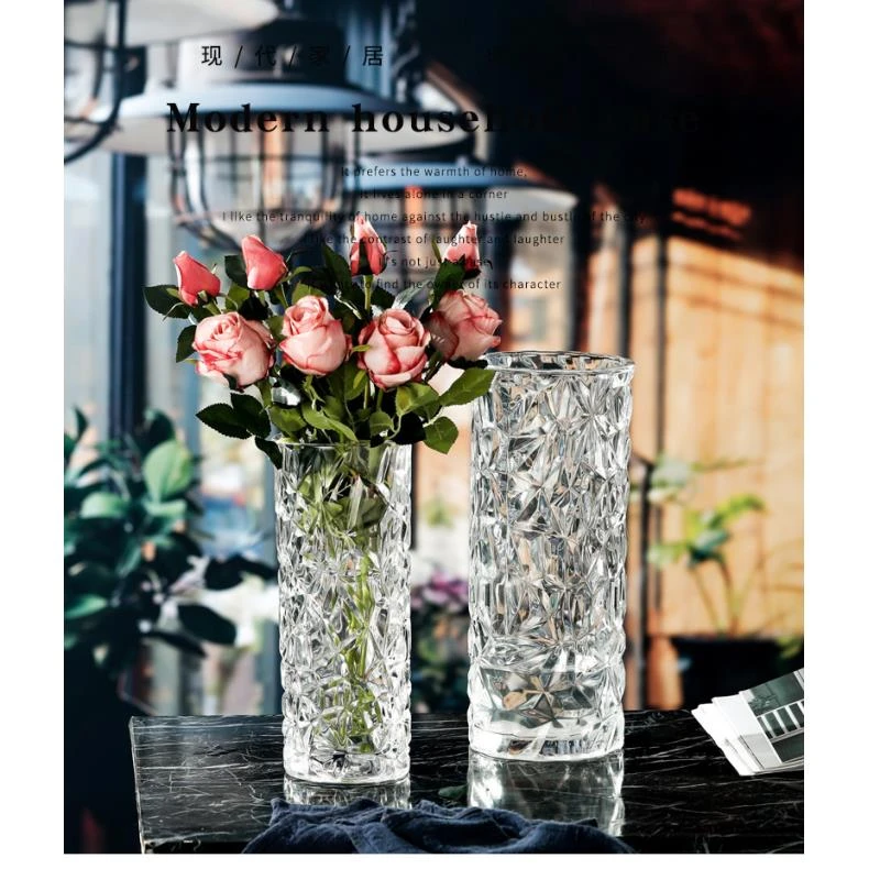 大号家用加厚透明玻璃花瓶富贵竹水培百合干花客厅餐桌花瓶斑斓