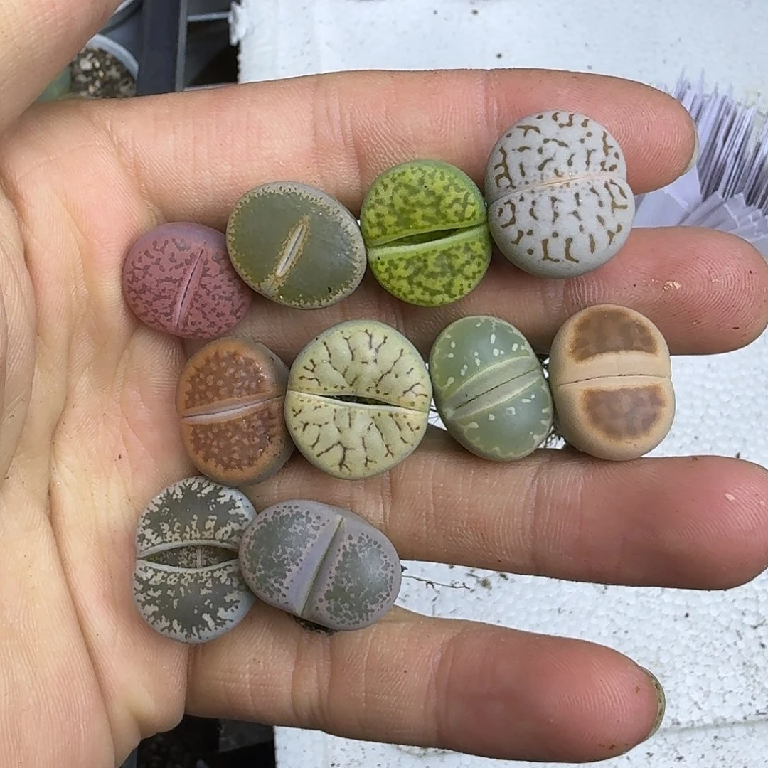 丁***丁830 哈哈哈哈哈哈哈哈哈