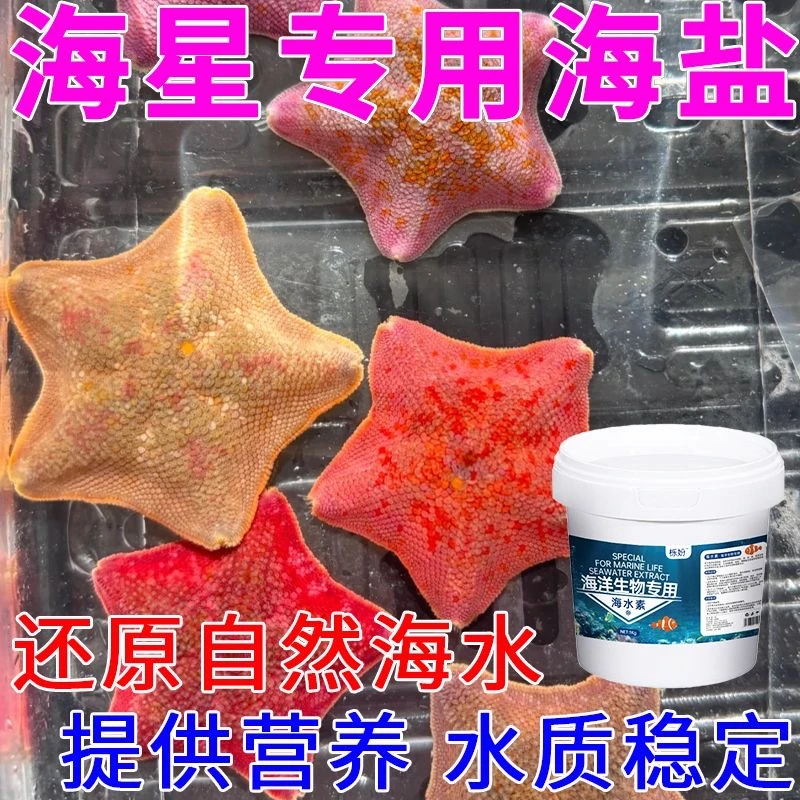 海星自用散装海盐