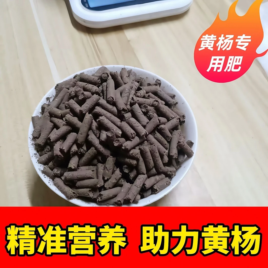 养花达人都爱!自制凤米黄杨专用肥,营养均衡,生长无忧