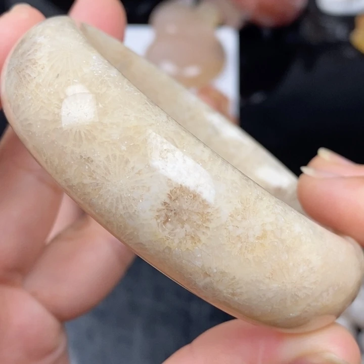 硅化玉未镶嵌颈饰60