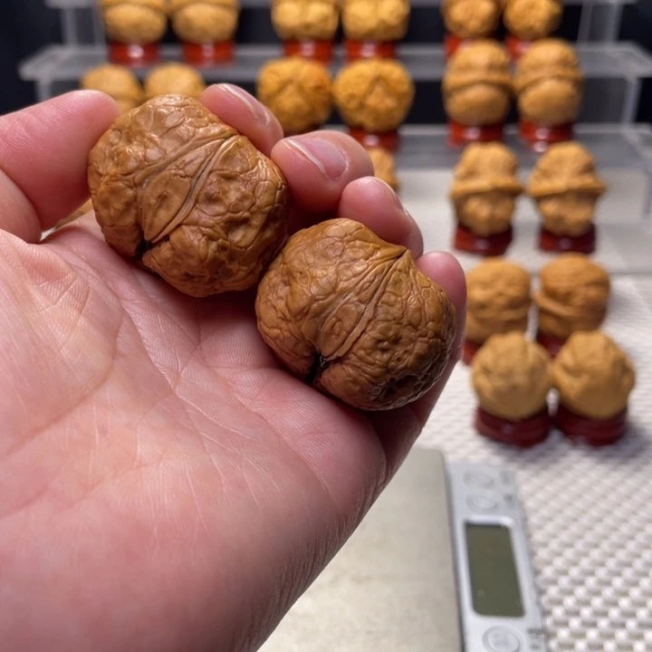 文玩核桃把件13生命之源