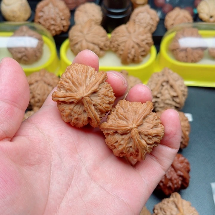 把件文玩核桃白狮子三棱38×37×37