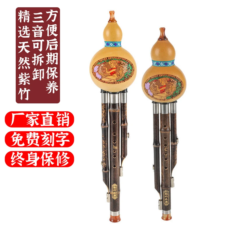 天然紫竹葫芦丝乐器初学c调降b调G调F调七孔学生儿童成人学习款
