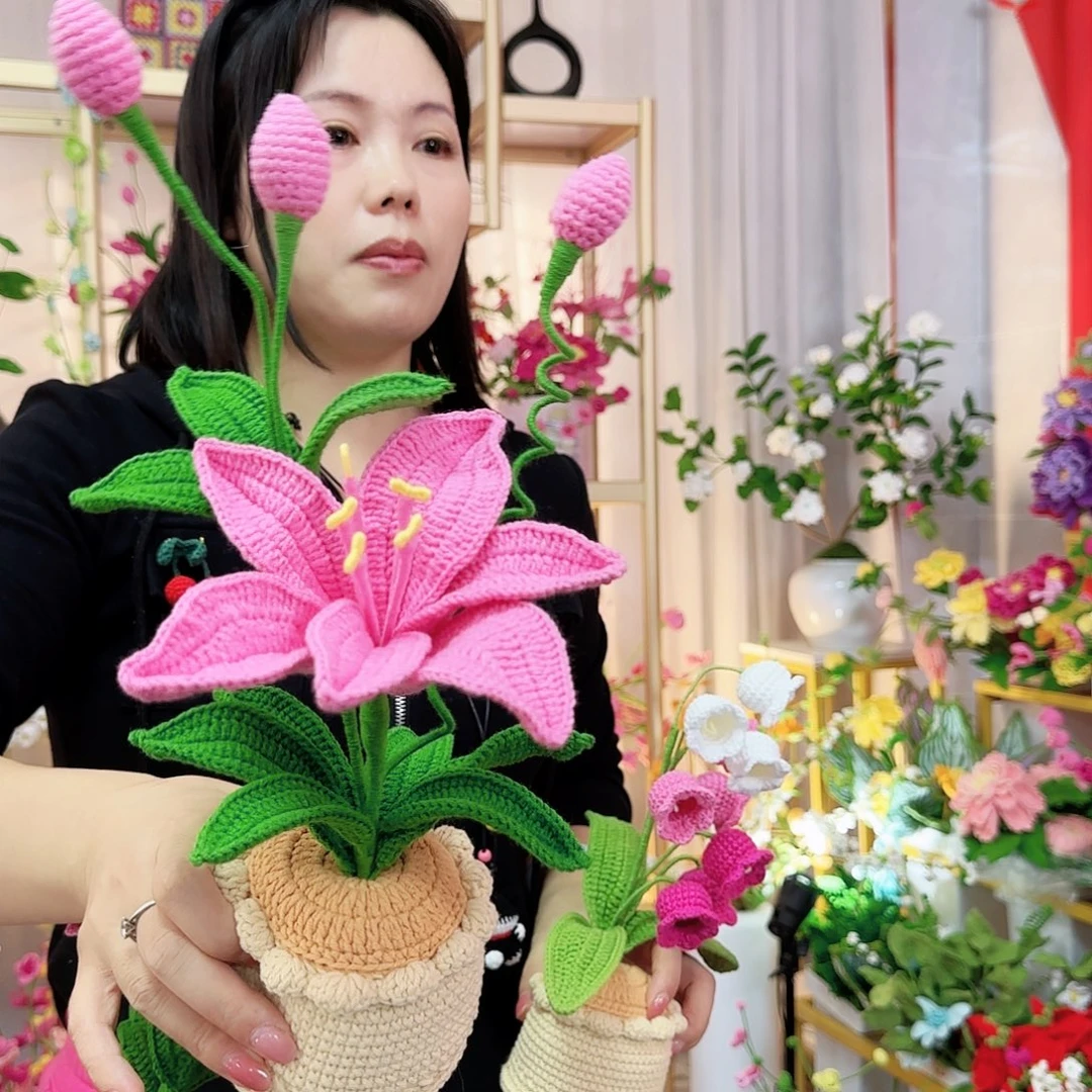 纯手工钩织手工钩织设计盆栽