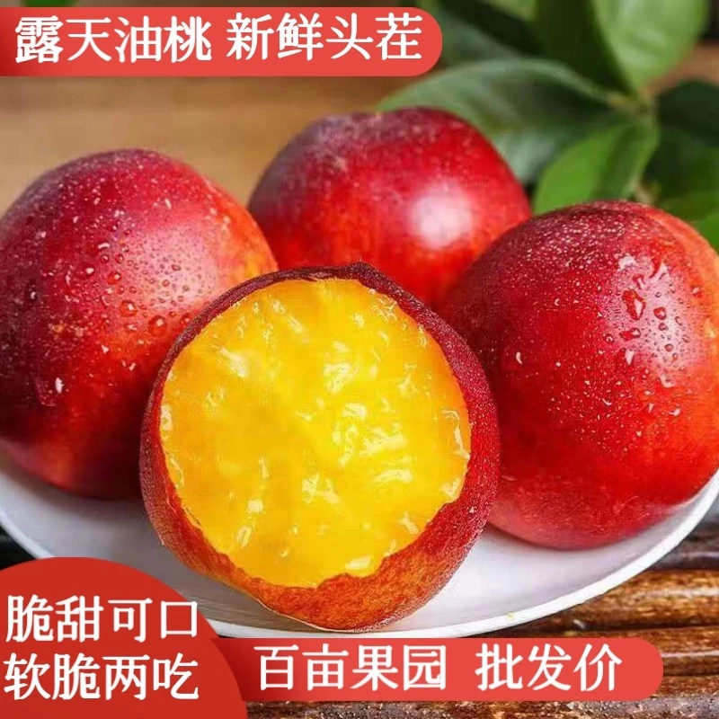 【头茬】现摘新鲜油桃麻点黄心油桃脆桃软桃坏果包赔
