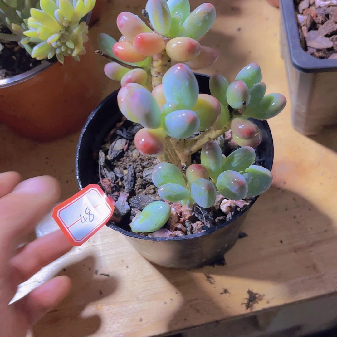 墨*岩00000000000048