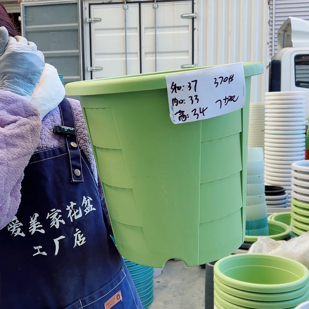 玫瑰盆370#果绿4个无托