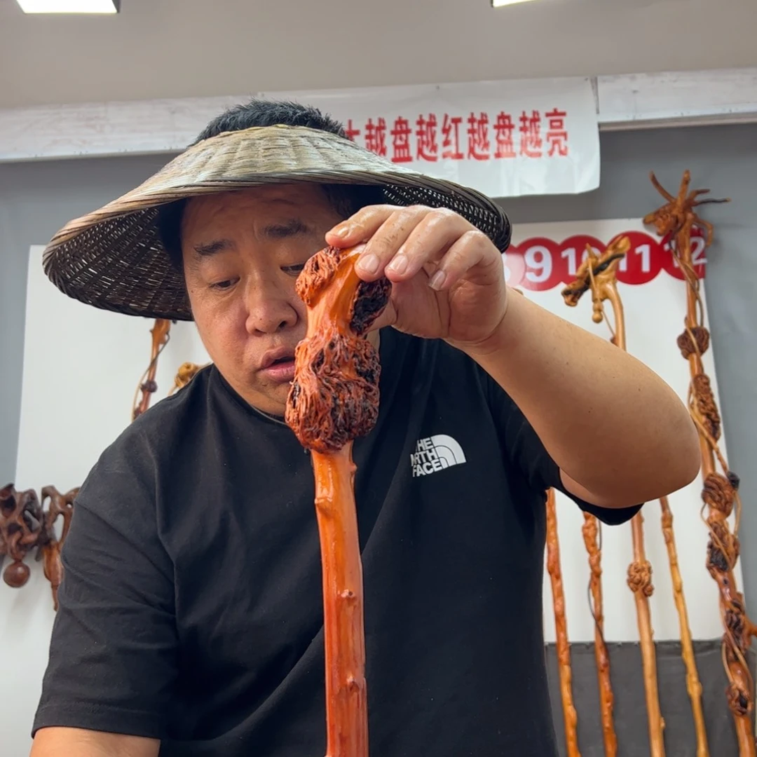 黑果木其他黑果木947