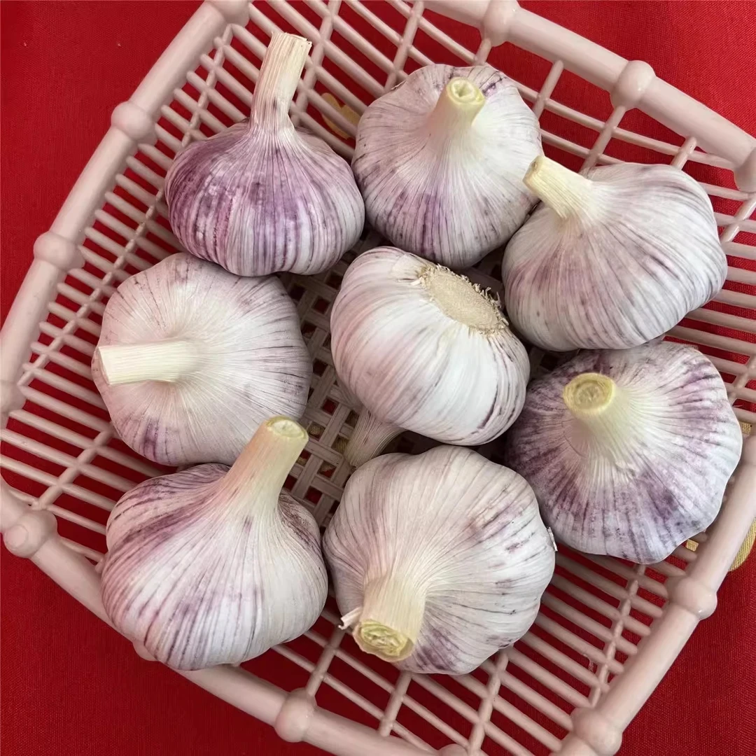 2025新干蒜河南杞县大蒜头农家新蒜头紫白皮大蒜做种泡蒜腊八蒜