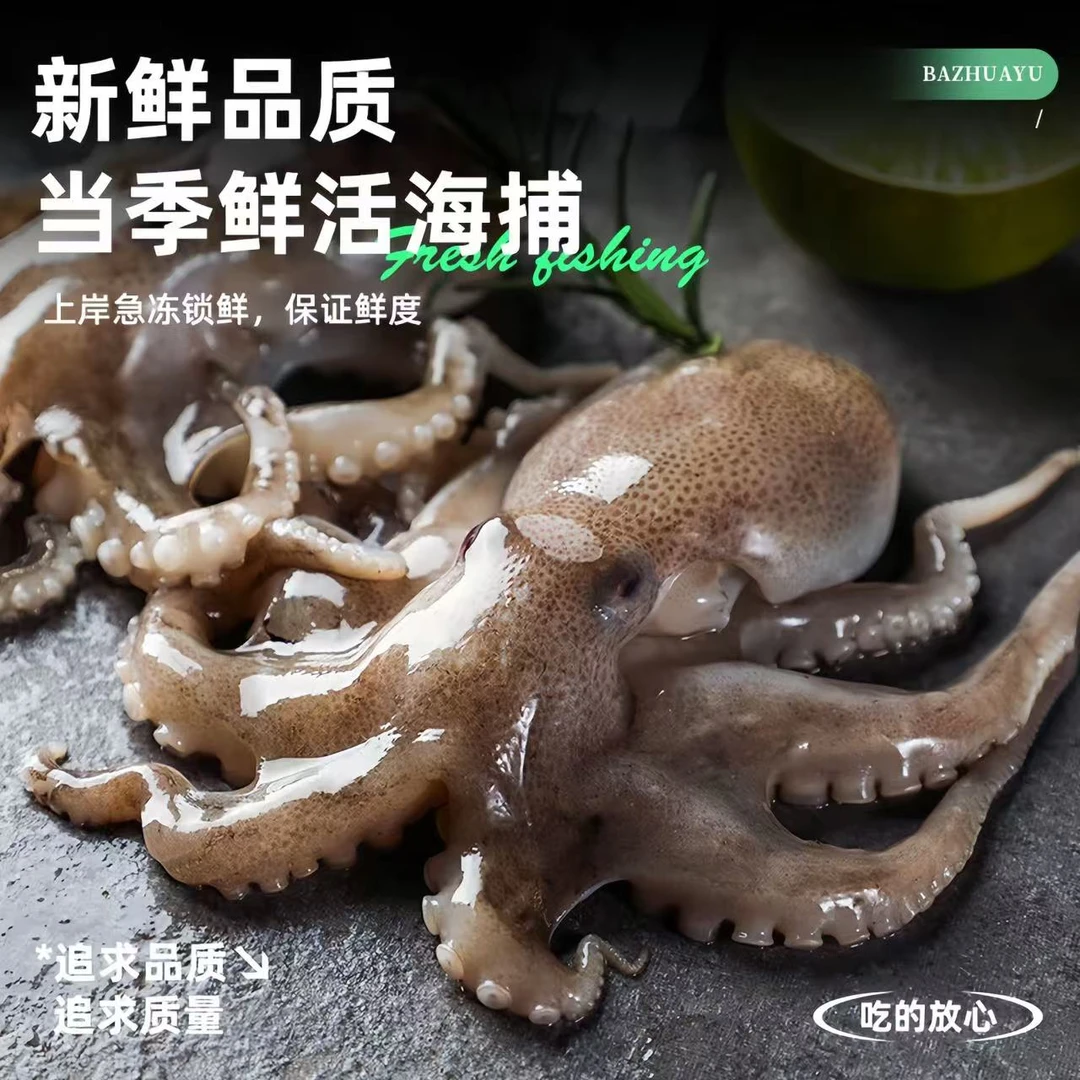 【新店开业】海捕八爪鱼新鲜品质口感劲道有嚼劲1.5kg净重新疆包邮