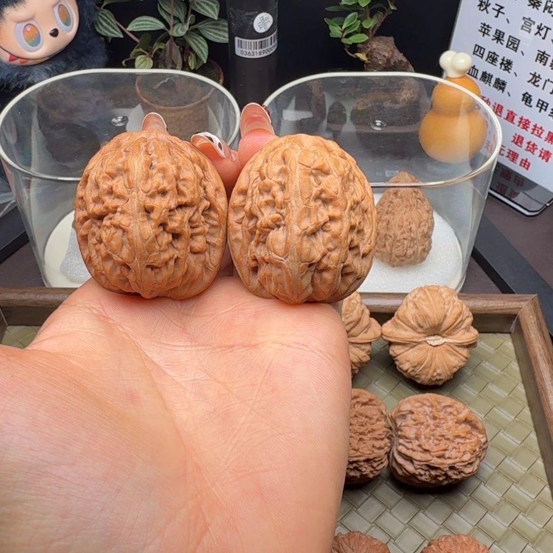 核桃全品红锦鲤42