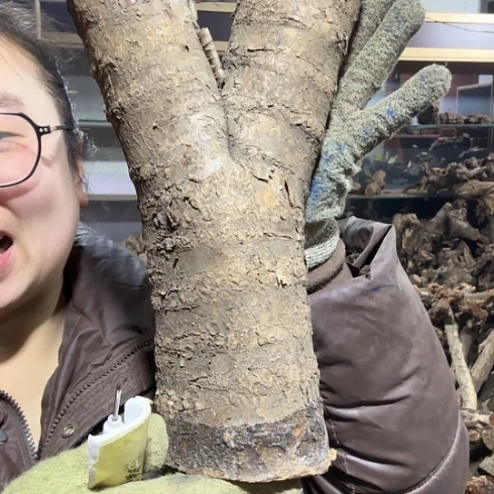 香榧木睿*火琉璃的故事毛料摆件