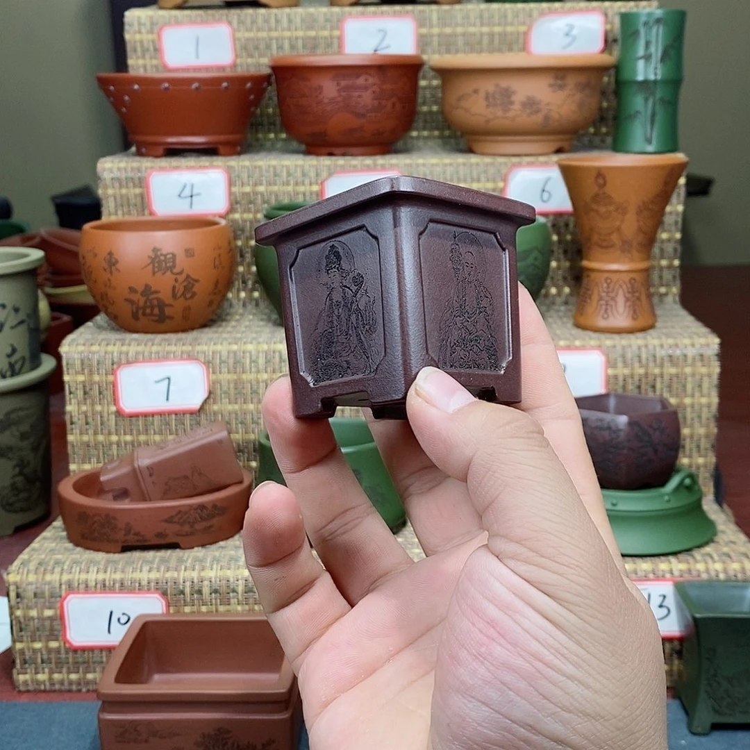 紫砂花盆我在看书